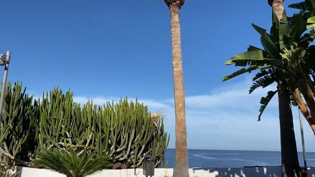 Привет из города Пуэрто де ла Круз. Красивый и теплый остров Тенерифе.