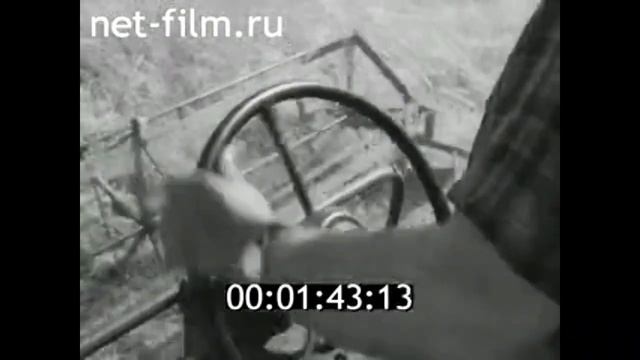 1967г. совхоз Моршанский Калининградская обл