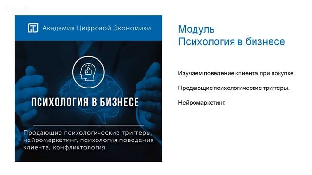 Образовательный проект Академии Цифровой Экономики