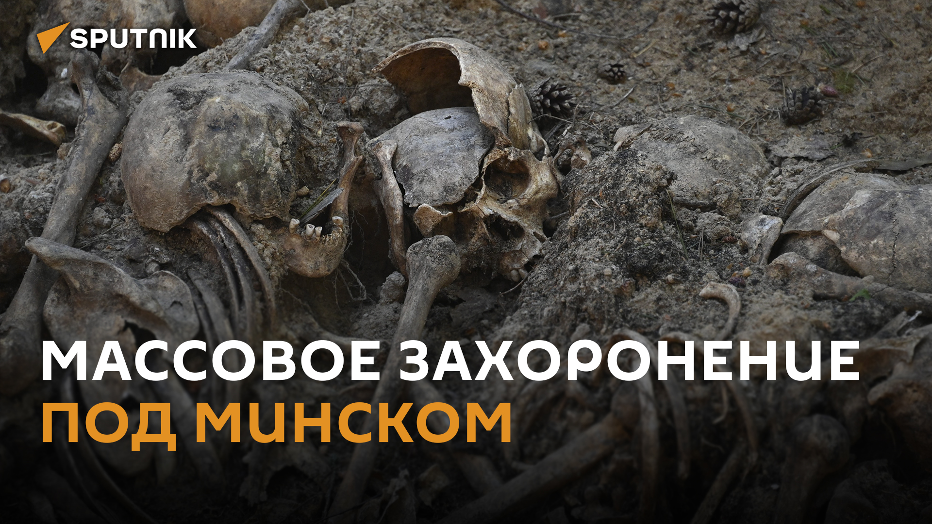 Депутатам показали место захоронения жертв геноцида под Минском