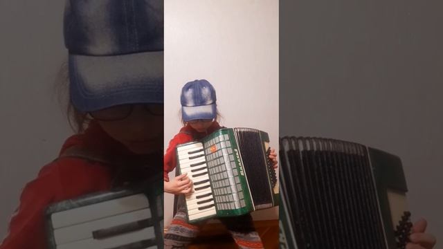 аккордеон