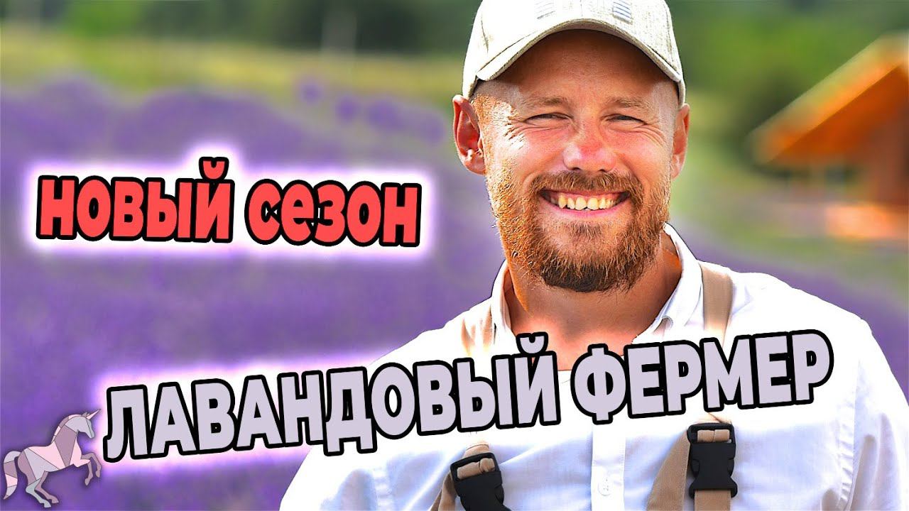 Как перезимовали лаванда и лавандин на ферме Лавандовый Замок?