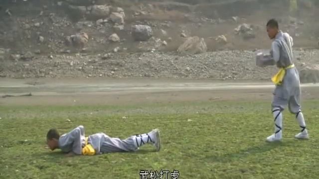 Shaolin Kung Fu: Luohan fighting techniques