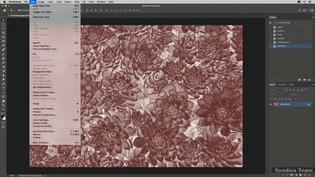 Photoshop   19 Undo And The History Panel