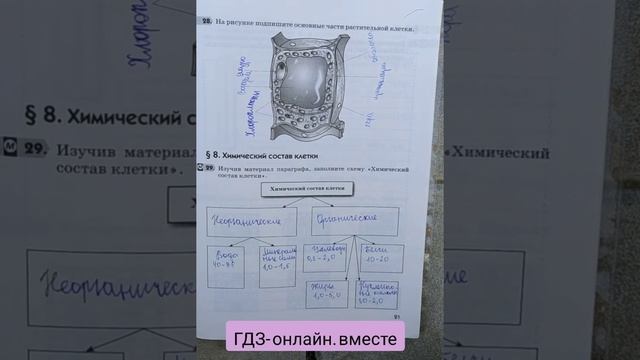 ГДЗ.  Биология. 5 класс. Пасечник В. В. Рабочая тетрадь. Параграф 8.
