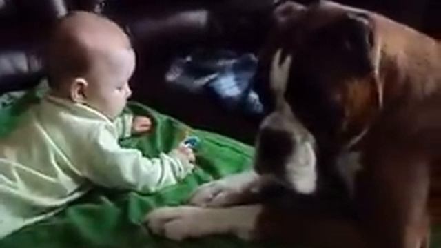 Не соска,а мечта)))