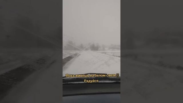 Пока живёшь на свете РАДУЙСЯ!!