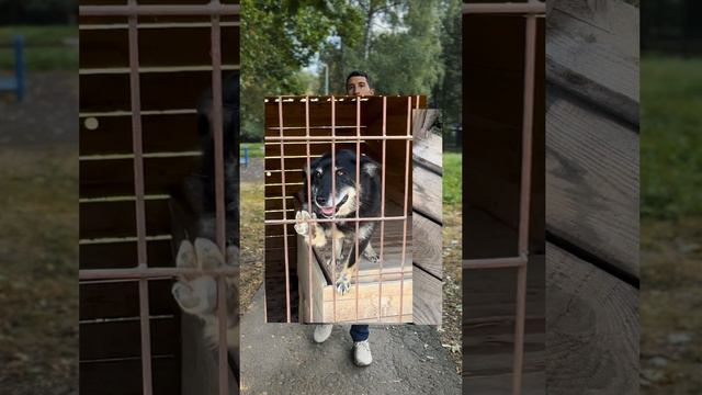 НАЧНИТЕ С МАЛОГО 🙏🏻❤️🩹🐕