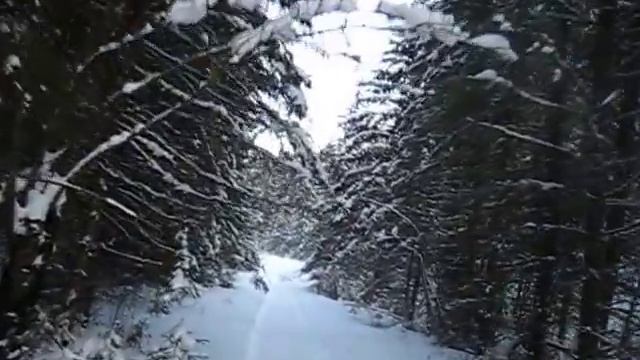 Отдых в Орешном