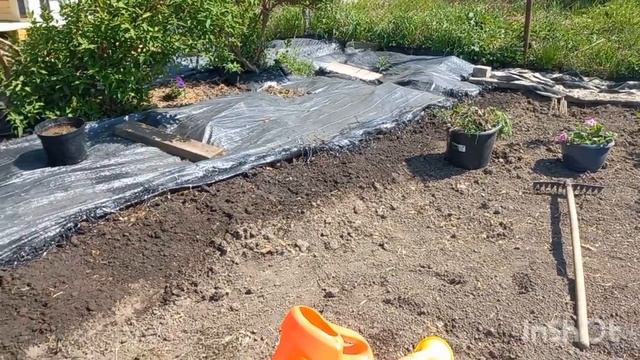 Купили заброшенную дачу(сезон 2№17)Привезли машину со строй материалами _Доводим до ума домик_Cажаю