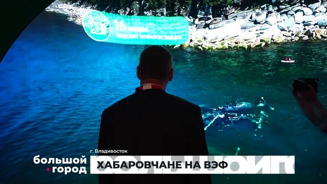 ХАБАРОВЧАНЕ НА ВЭФ. Большой город 04/09/2024