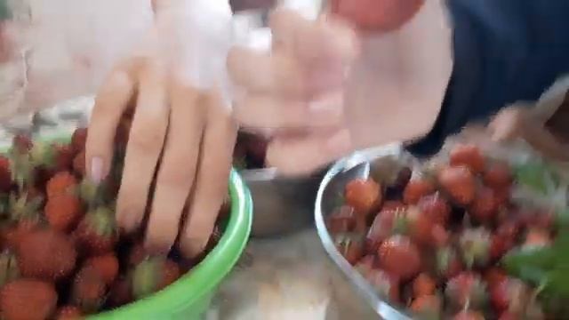 Собираем урожай клубники