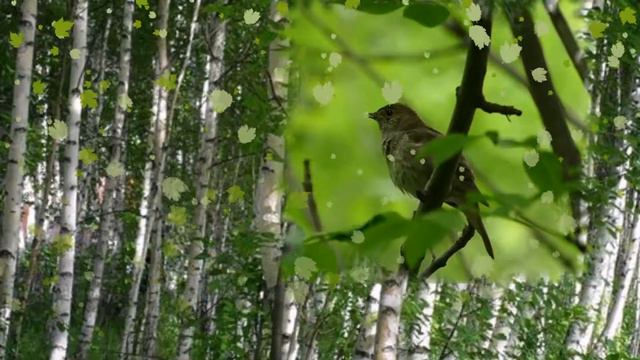 Соловьиная роща