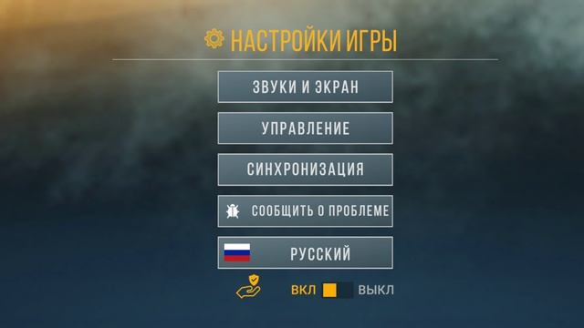 играю в гонки