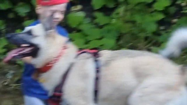 СЕРЁЖА ВПЕРВЫЕ УВИДЕЛ РЕЧКУ | РЕАКЦИЯ МАЛЫША