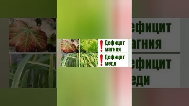 На заметку дачникаи