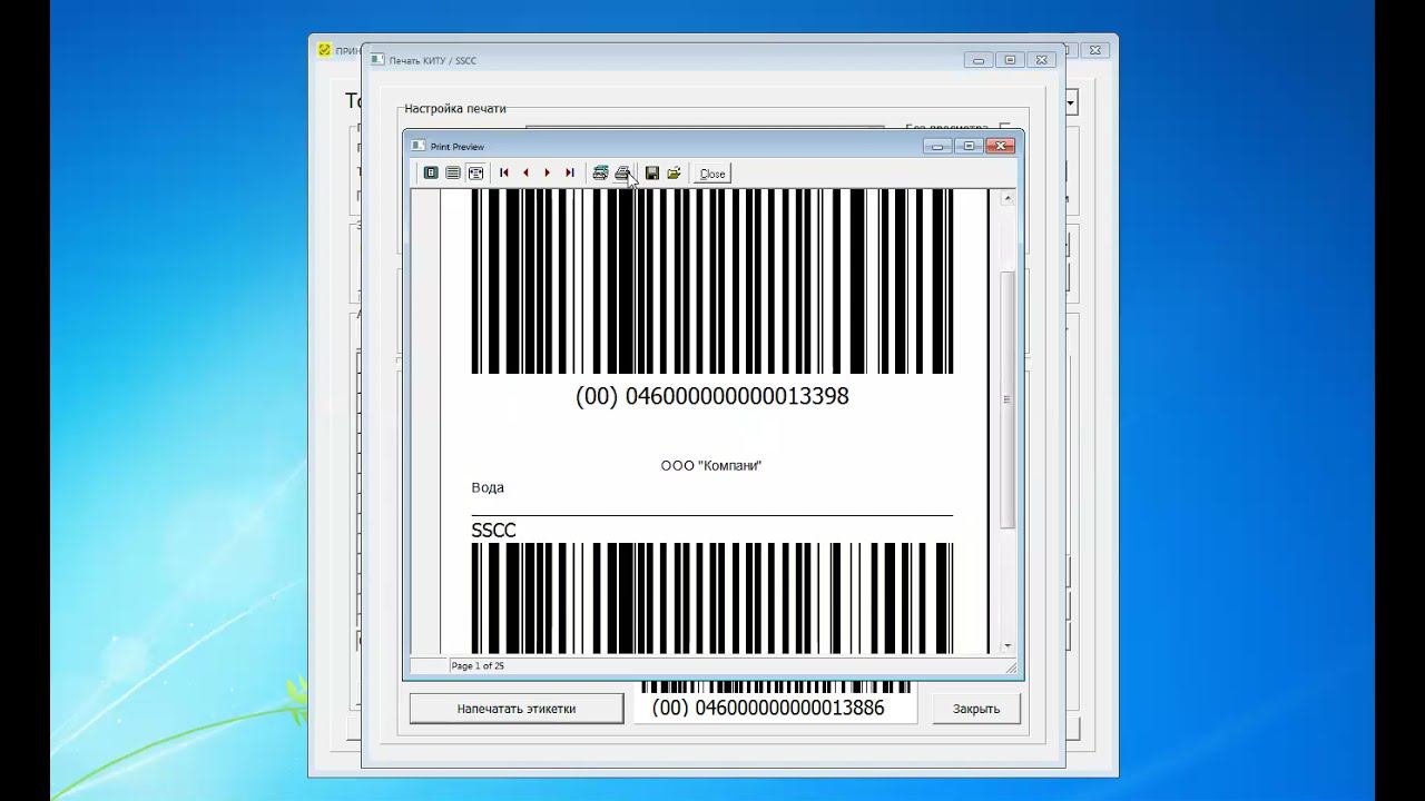 Формирование и печать транспортной этикетки КИТУ SSCC