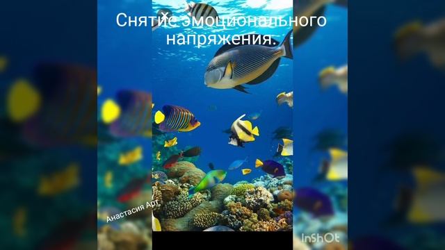 Снятие эмоционального напряжения.