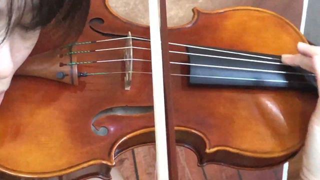 Ifstrings Private Stock Classic #148 Guarneri del Gesu 1737 "King Joseph"