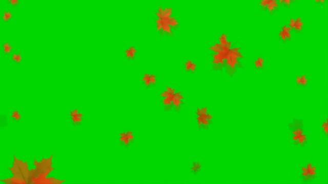 Осенний листопад autumn leaf fall - greenscreen effects - free use