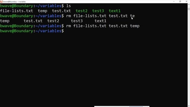 Shell Variables For Beginners.