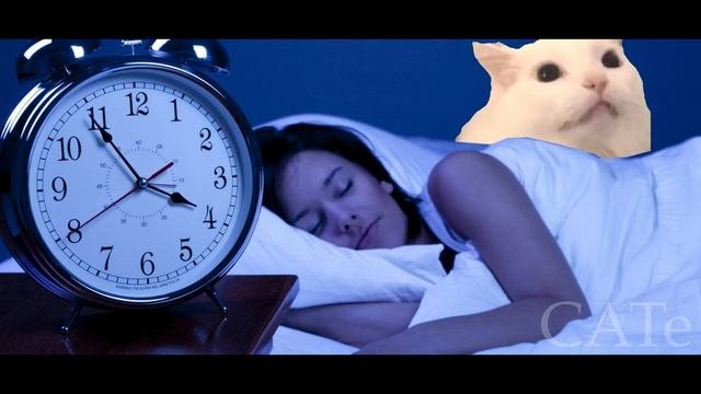 Astronomia - Coffin Dance - Cat Cover #4 (ВЕРСИЯ НОМЕР 2)