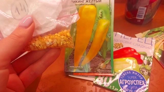 2 февраля Лен область.Сею 1 партию перца и пекирую комнатные черри????