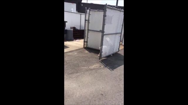 Собака врезака Это Спарта
