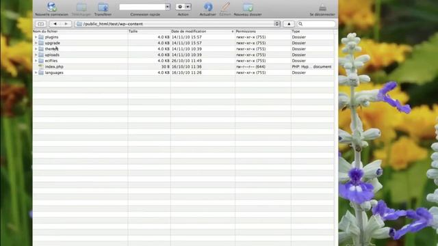 Afficher un compteur de vues dans vos articles WordPress