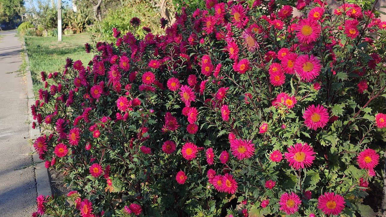 Тренажёры против велосипедов