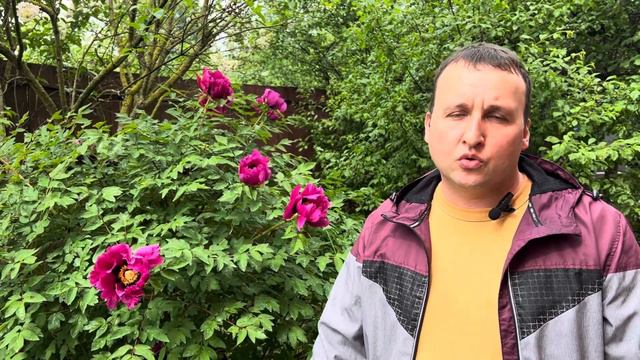 Пожелание от руководителя приюта «Дом Помощи» Сергея Ратникова