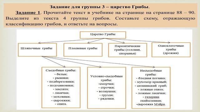 Многообразие и значение растений, животных и грибов  (часть 1)