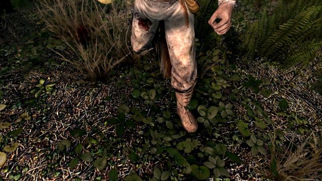 The History Of Hammerfell - Elder Scrolls Lore