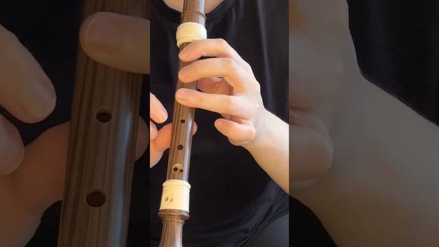 Vangelis - Conquest of Paradise  Вангелис - Завоевание рая  Recorder Flute
