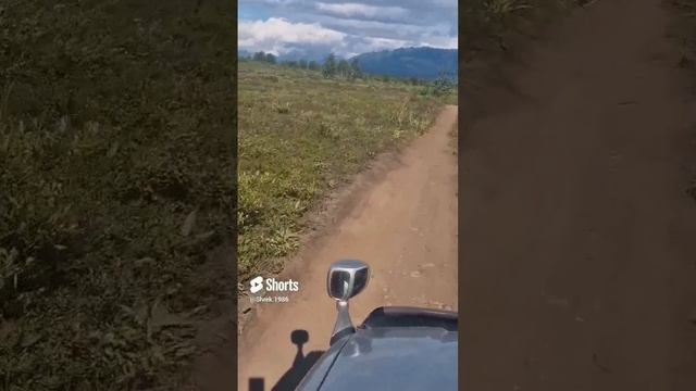 Летняя Камчатская тундра Красива????