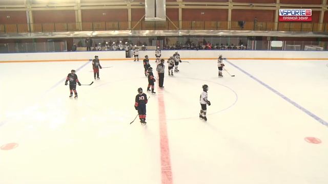 Снежные барсы - Балашиха  2010  04.12.22