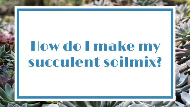 How To Make A Succulent Soilmix - The Secret To Growing Gorgeous Succulents