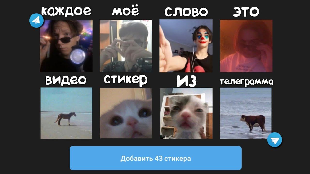 каждое моё слово это стикер из телеграмма