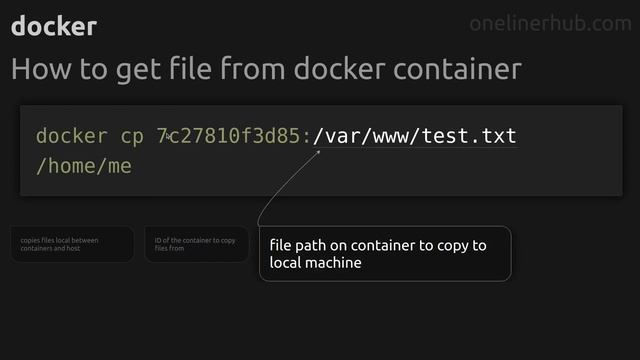 How to get file from docker container #docker