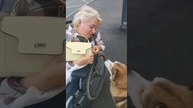 Знакомство.💞