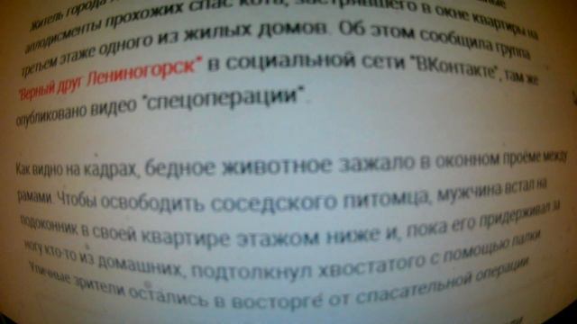 "Герой!" Житель Татарстана на глазах у изумлённой публики спас застрявшего в окне соседского кота