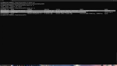 Déployer un serveur minecraft sous docker en 10 min !