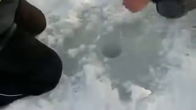 Зимняя рыбалка, ловля кумжи, хорошая рыбалка на рыбу