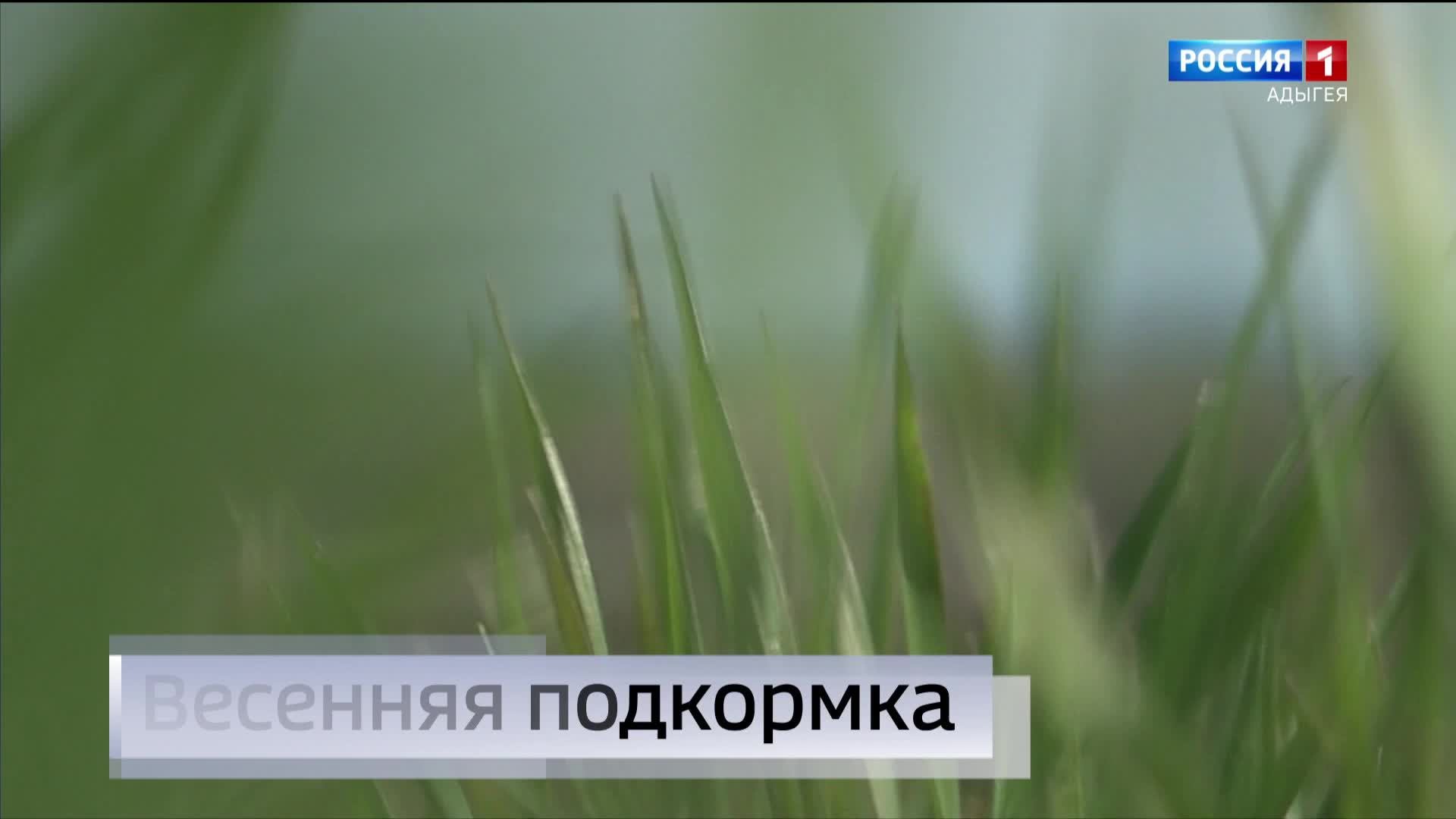 14.30- Вести от 26.03.2024г.
