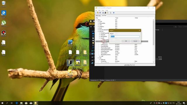 как создать флешку  USB Hackintosh Clover из под  Windows