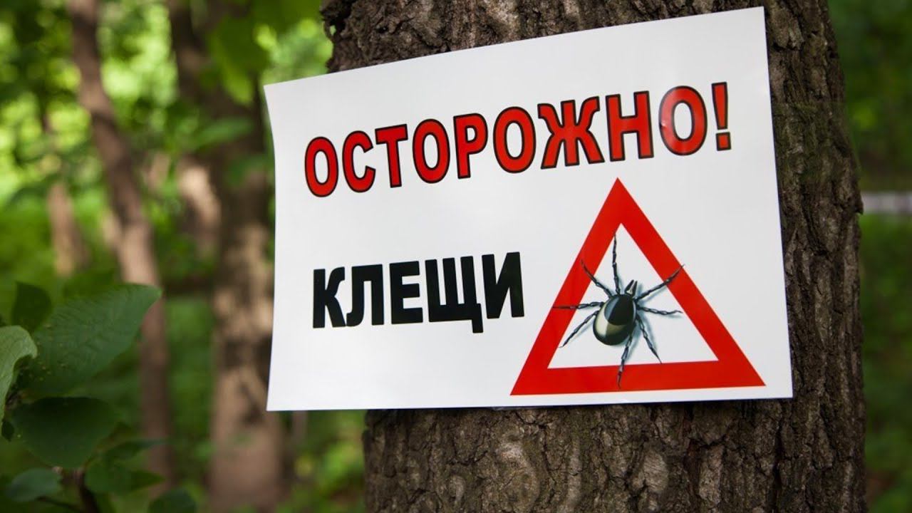 Защити себя от клещей  45 суток спокойствия