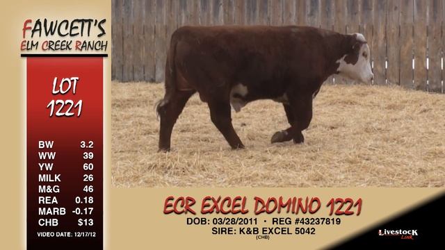 LOT 1221 - ECR EXCEL DOMINO 1221