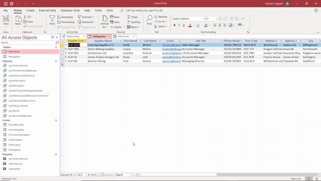 Excel vs Access | Pros and Cons | The Introduction to MS Access Course