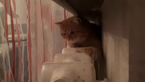 Когда дома дали отопление) ...