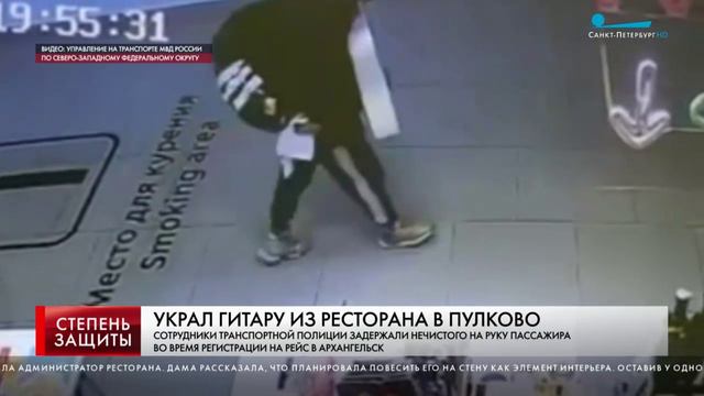 В аэропорту «Пулково» сотрудники транспортной полиции раскрыли кражу музыкального инструмента